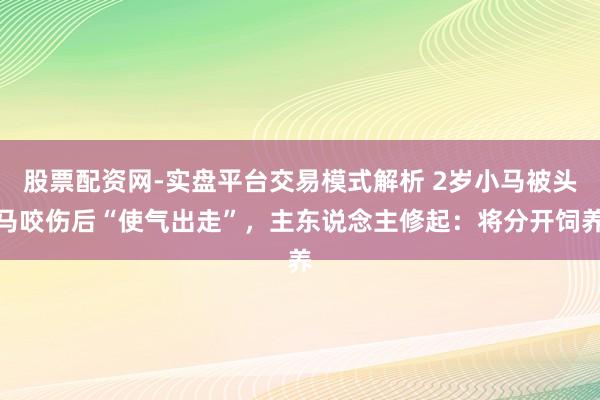 股票配资网-实盘平台交易模式解析 2岁小马被头马咬伤后“使气出走”，主东说念主修起：将分开饲养