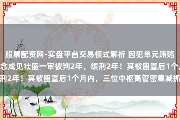 股票配资网-实盘平台交易模式解析 因犯单元贿赂罪，300941实控东说念成见壮盛一审被判2年，缓刑2年！其被留置后1个月内，三位中枢高管密集减抓股份