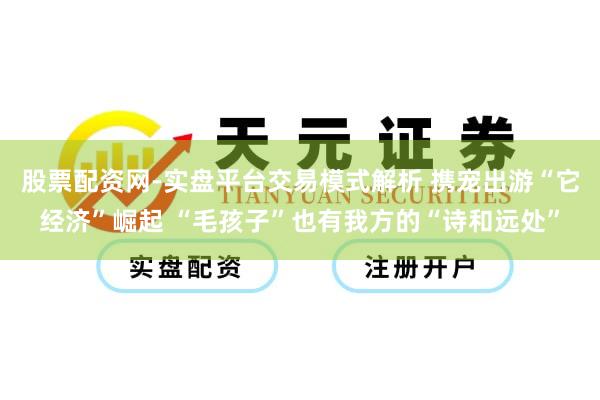 股票配资网-实盘平台交易模式解析 携宠出游“它经济”崛起 “毛孩子”也有我方的“诗和远处”