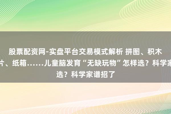 股票配资网-实盘平台交易模式解析 拼图、积木、磁力片、纸箱……儿童脑发育“无缺玩物”怎样选？科学家谱招了