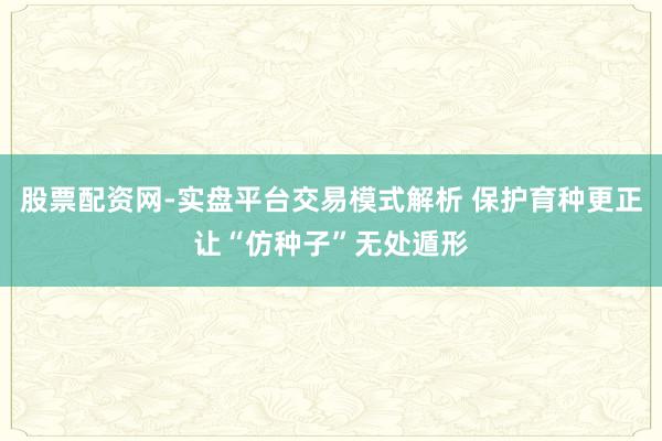 股票配资网-实盘平台交易模式解析 保护育种更正让“仿种子”无处遁形